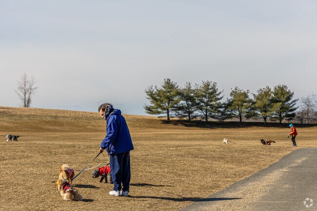 Residents of West Roxbury enjoy taking their pets out for walks.