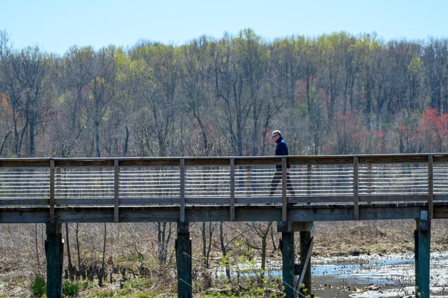 Explore south of Rippon Landing to immerse yourself in nature.