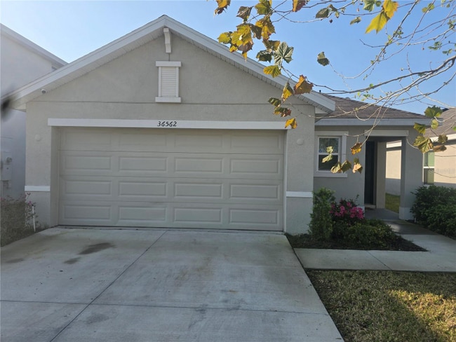 36562 Silver Maize Dr, Dade City, FL 33525 - photo 2