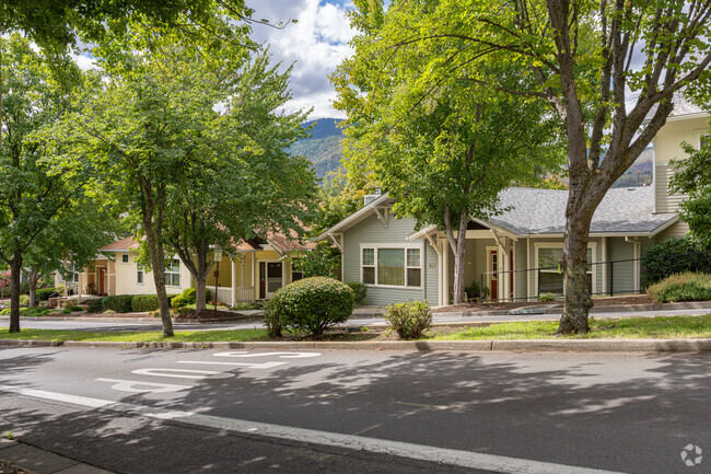 Large trees help to shade the newly built homes along North Mountain Avenue in Mountain Meadows.