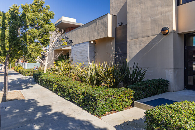 St. Vincent De Paul in Mission Hills: Nurturing faith, knowledge, and compassionate hearts.