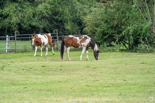 In North East Olympia, you can find farms within the neighborhood as well as traditional homes.