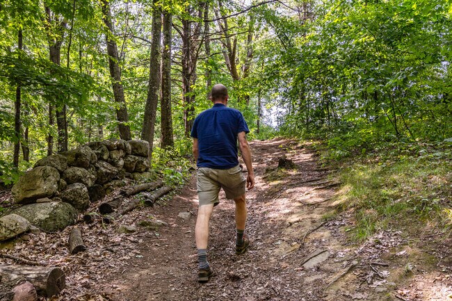 Take an exciting hike through the Hammond Nature Preserve in Bow.