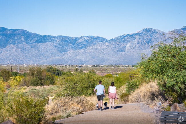 Explore the many walking trails near San Lucas.
