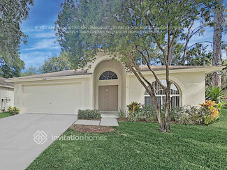 4420 Preston Woods Dr, Valrico, FL 33596