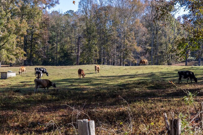 Local farms are common in the Sharpsburg area.