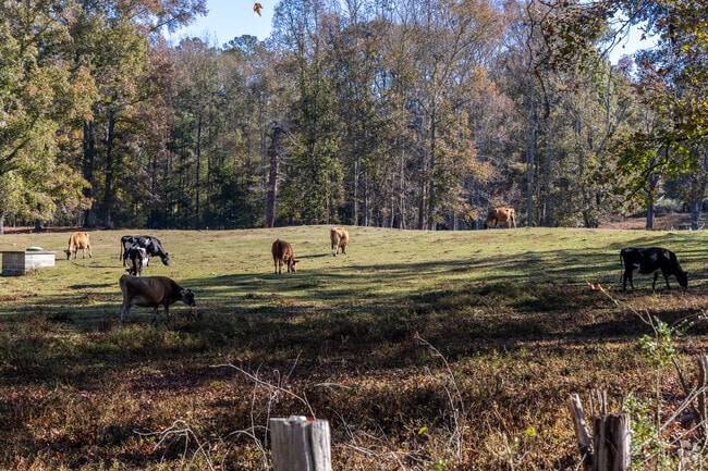 Local farms are common in the Sharpsburg area.