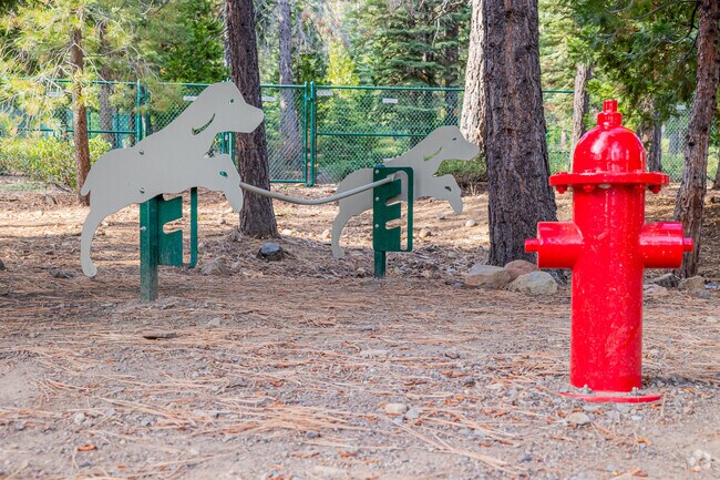 North Tahoe Regional Park has a few enclosed dog parks.