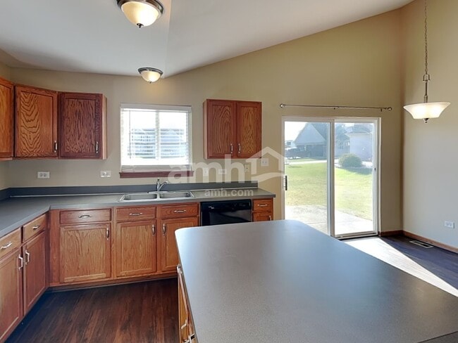 26251 W Bayberry Ct, Channahon, IL 60410 - photo 4