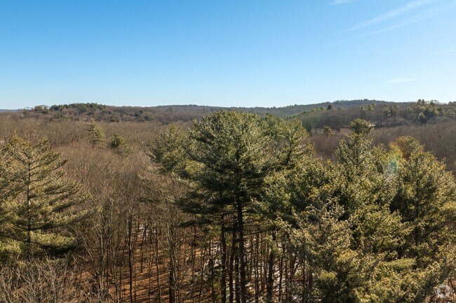 Wild brush sways in the wind, large pine trees drop their needles onto grassy front lawns, low stone walls line some roadsides and there isn’t a single stoplight in Bramanville Village