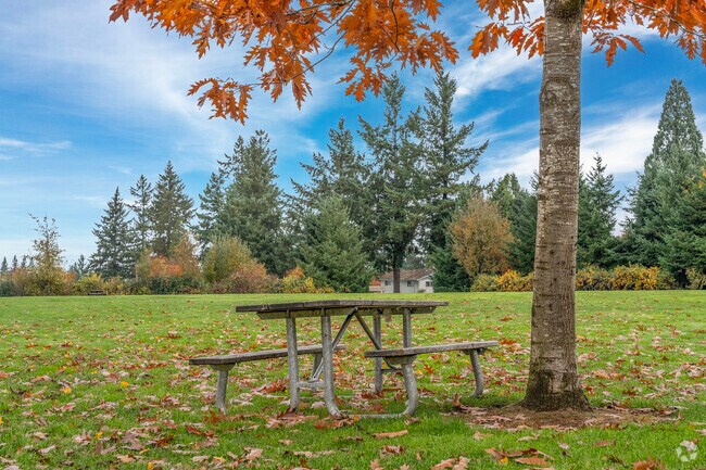 Enjoy a relaxing picnic under a maple tree at Marylhurst Heights Park.