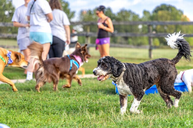 Yappy Hour features live music, desserts, cold beer and activities for furry best friends.