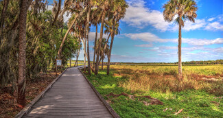 16605 Mangrove Island Ave, Land O Lakes, FL 34638