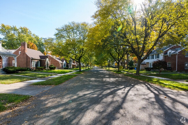 Homes line the streets as far as the eye can see in the Miller Grove Neighborhood.