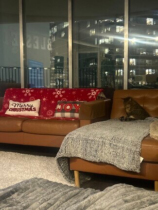 300 N State St Unit River North Unit 5617, Chicago, IL 60654