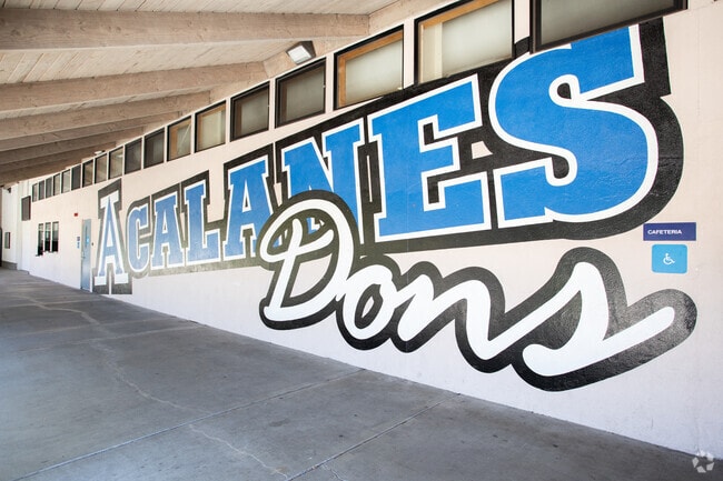 Acalanes High School in Lafayette is a huge school with 1300 students.