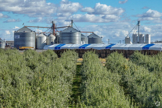 Grain silos stand tall in Basin City, reflecting its agricultural roots.