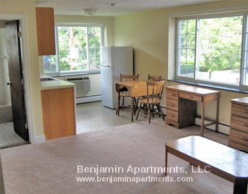 14 Brattle Ln unit 6, Arlington, MA 02474 - photo 4