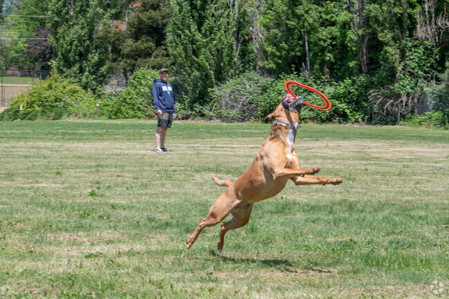Take your pup to Sunset Park for an afternoon of sunshine in Cedarhurst.