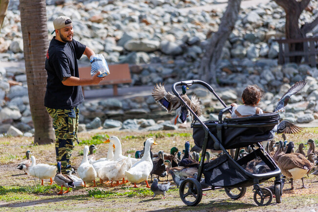 Addams residents enjoy bringing kids to feed waterfowl at nearby Scherer Duck Pond.