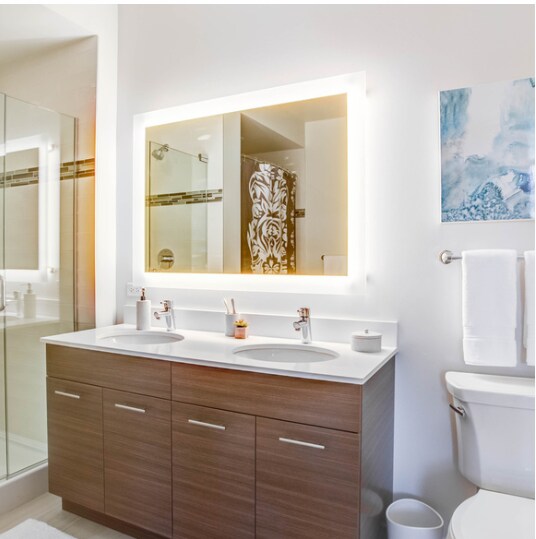 339 E Chestnut St, Chicago, IL 60611 - photo 6