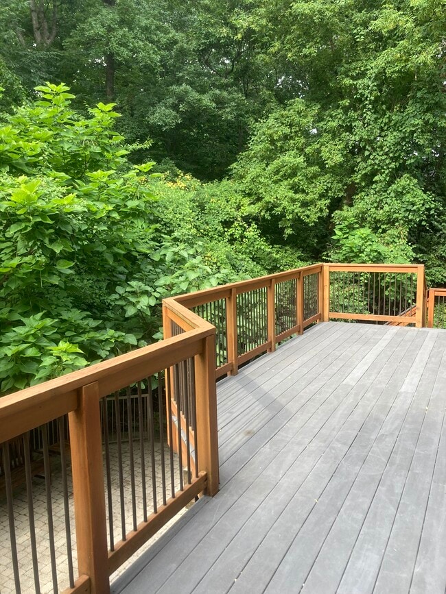 1st floor deck