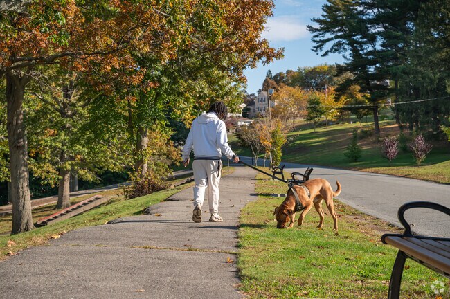 North Park has lots of green space for outdoor activities near North End