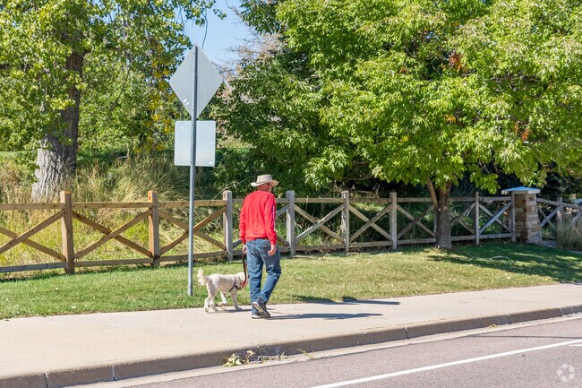 Dog walkers are common in Legacy Ridge.
