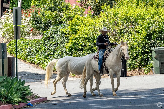 It is not uncommon to see people getting around by horseback in La Habra Heights.