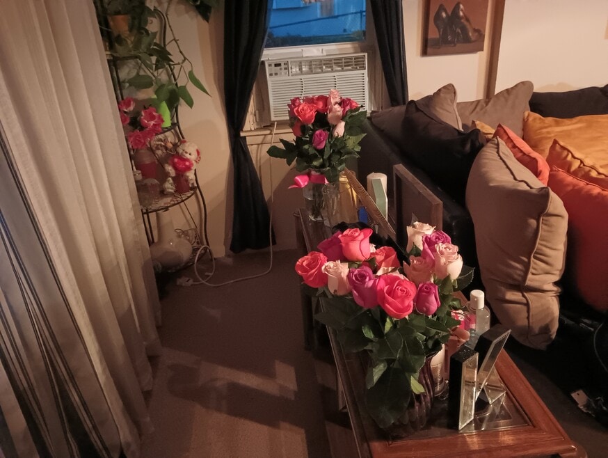 419 Fremont St, Elgin, IL 60120 - photo 1