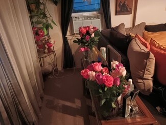 419 Fremont St, Elgin, IL 60120