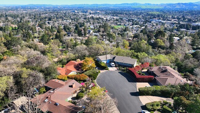 NH_BuenaVistaArea_565240_031325_P2_CTB_v1