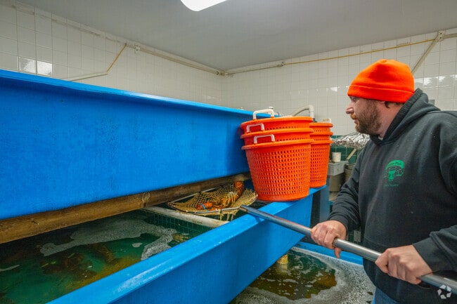 Pick up a freshly caught lobster from Alive & Kicking Lobsters in Riverside.