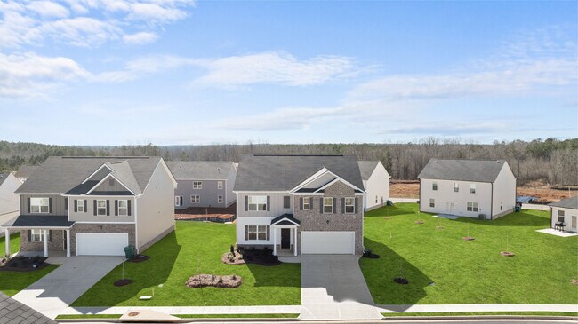 194 Lauritsen Way, Newnan, GA 30265 - photo 7