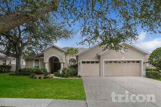 3412 Eastmonte Dr, Valrico, FL 33596