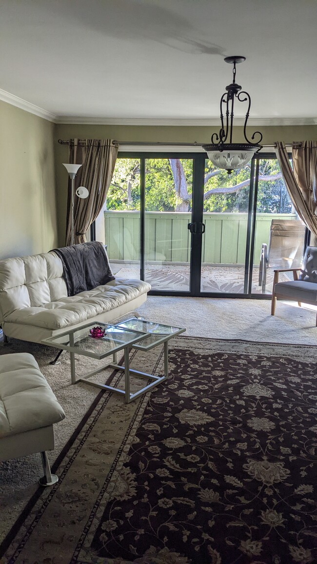 999 W Evelyn Terrace Unit 999 Evelyn, Sunnyvale, CA 94086