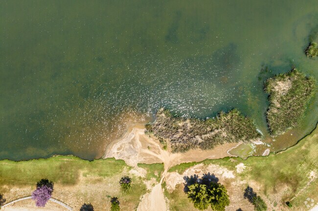 The Sun Sparkles on the Waters of Lake Riverside