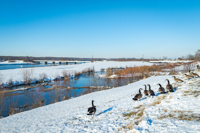Barbara Park experiences four seasons including harsh winters at times.