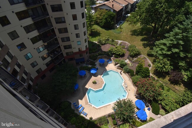 Pool View from Unit