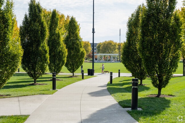 Pedestrians enjoy taking their pets to various parks and walkways in Dillonvale.
