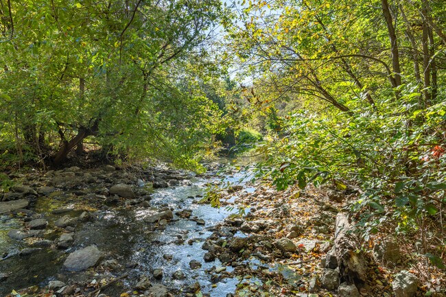 The creek in Stonegate Park is surrounded by dense foliage.