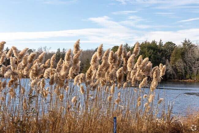 Echo Lake Park provides nature lovers a place of respite in Southard.