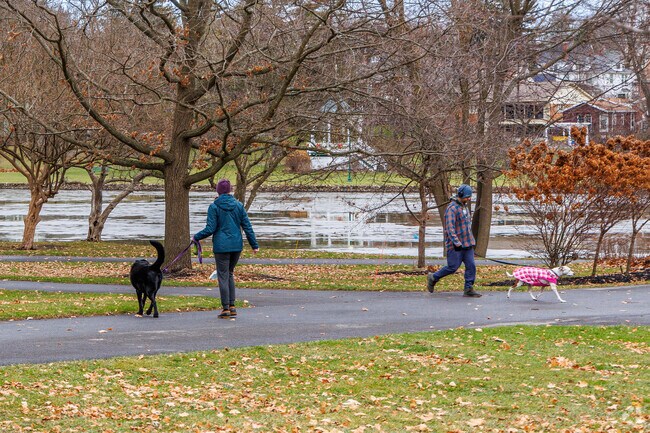 Hoopes Park in Auburn offers a tranquil retreat for dog walking, but is best known for its summer concert series and occasional movie screenings.