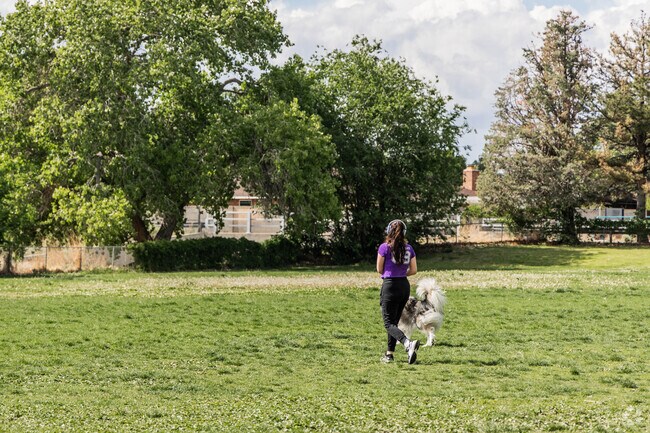 It's common to see people walking their dog in the green space near the Rose Garden.
