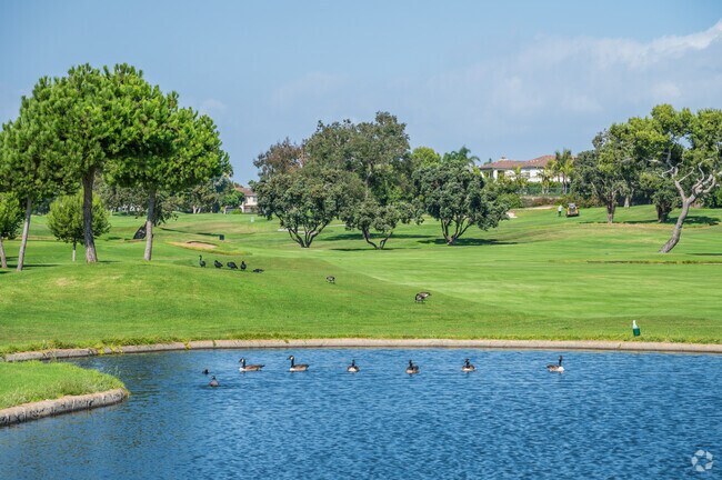 Play a round of golf at the pristine Huntington Club in Sea Cliff.
