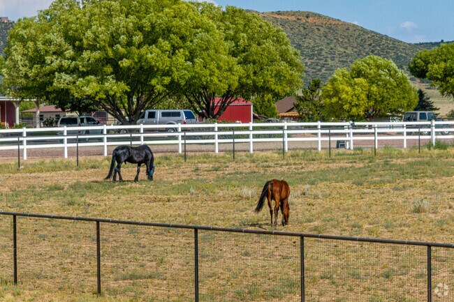 Residents in Prescott's Coyote Springs neighborhood have plenty of room for livestock.