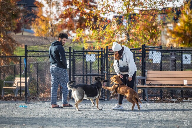 Evermoore Park is a popular spot for Moorefield locals and their dogs to have play dates.