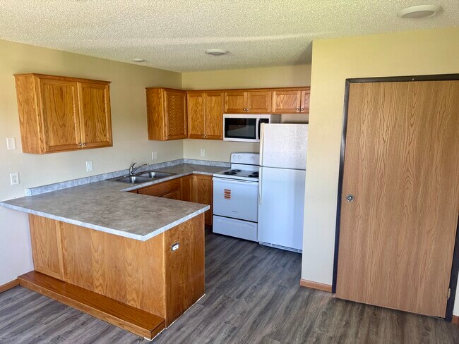 174 Main St unit 2A, Foreston, MN 56330 - photo 3