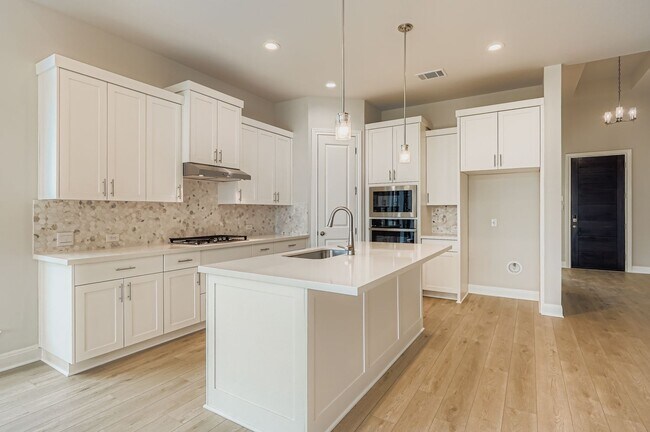 310 Prickly Poppy Loop, Kyle, TX 78640 - photo 3