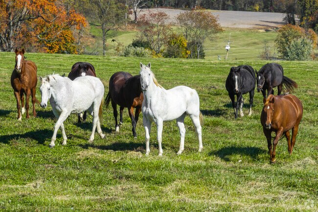 Oregon Ridge has many farms with horses.